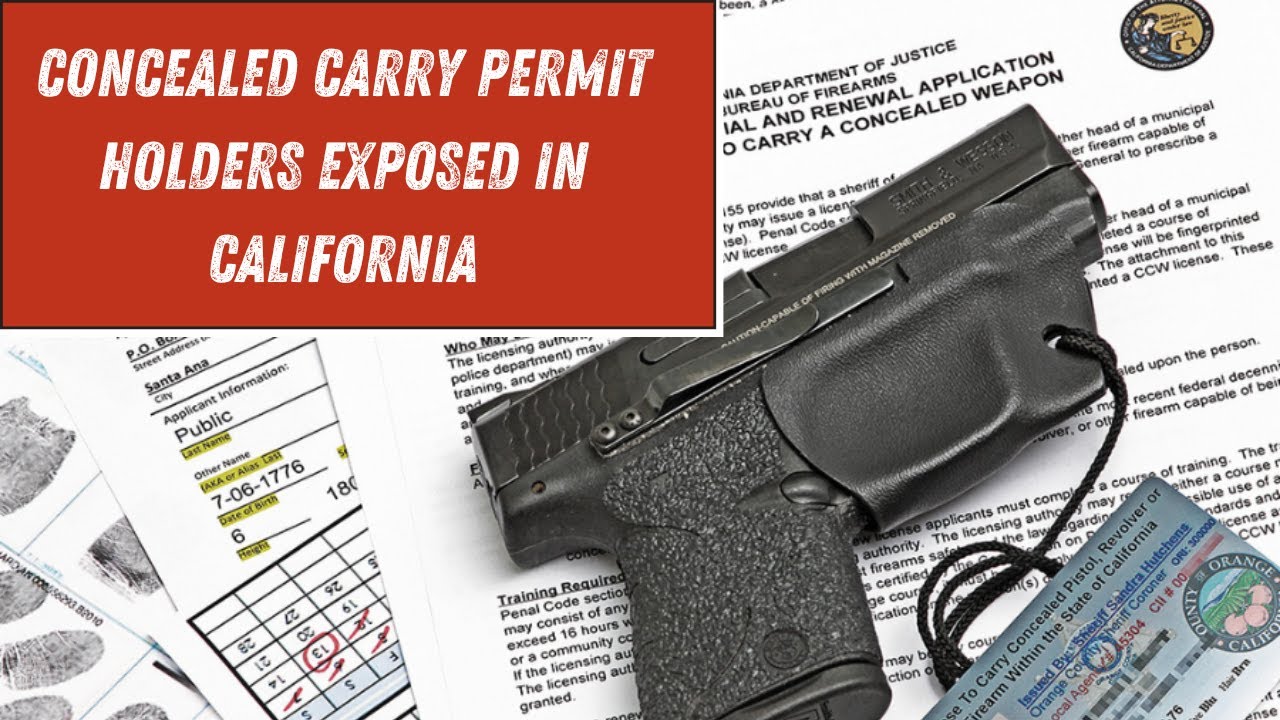 Concealed Coalition's Austin Davis Discusses CA CCW Data Leak on Newsmax