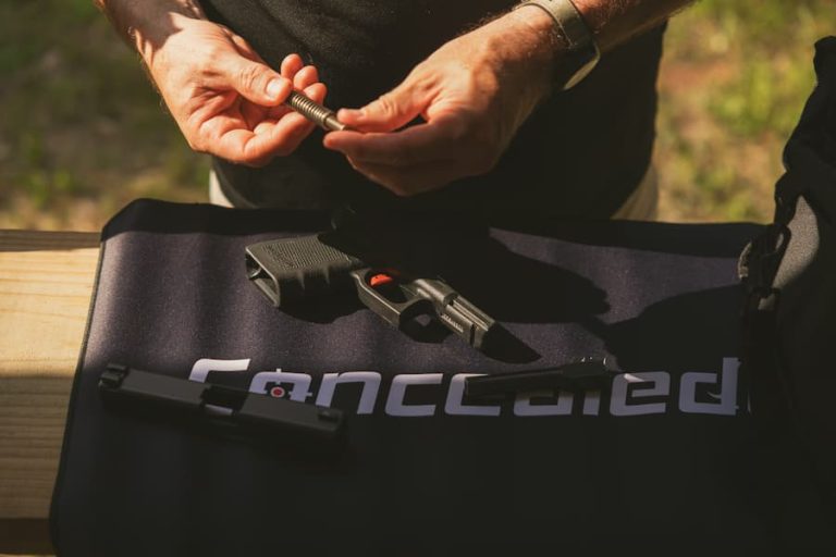 Delaware Concealed Carry Reciprocity Maps & Gun Laws Guide